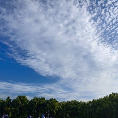 月薪5000元缴多少社保“第六险”
